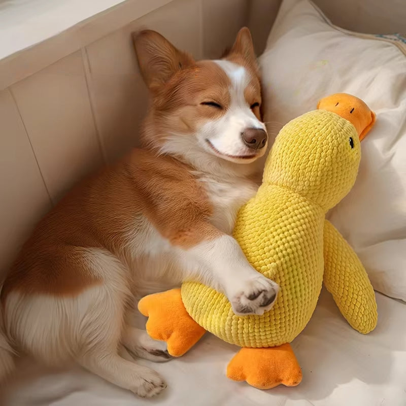 DUCKY Pipande Hundgosedjur