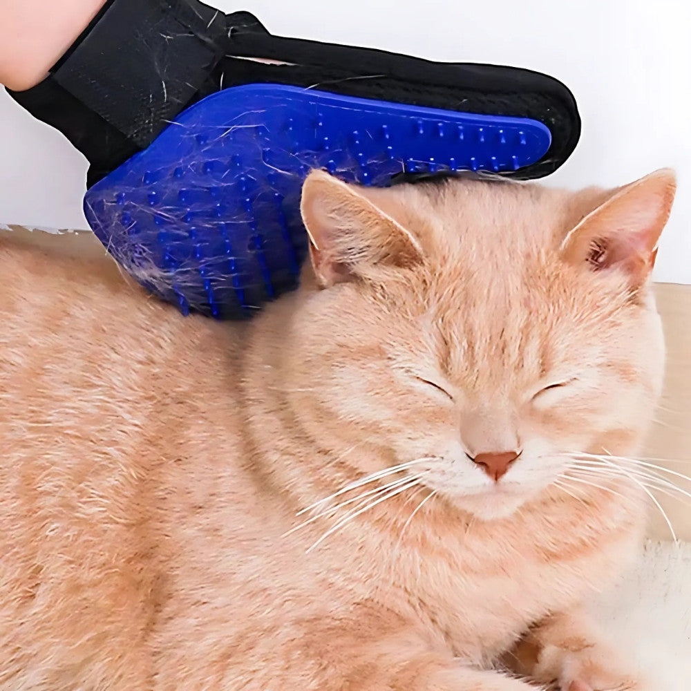 PETCARE Massagehandske